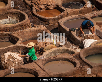 Men dipping leather into tanning vats in Chouwara tannery in Fez (Morocco) Stock Photo