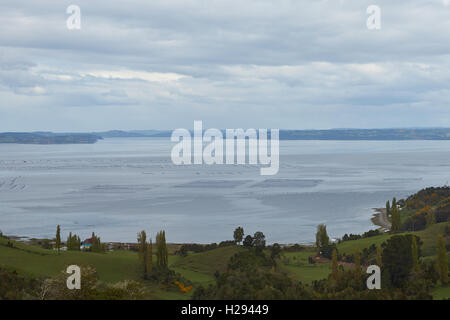 Aquaculture on the small island of Quinchao in the archipelago of Chiloe in Chile. Stock Photo