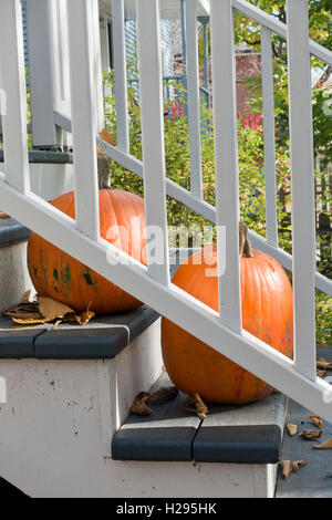 Two large pumpkins on outdoor stairs Stock Photo