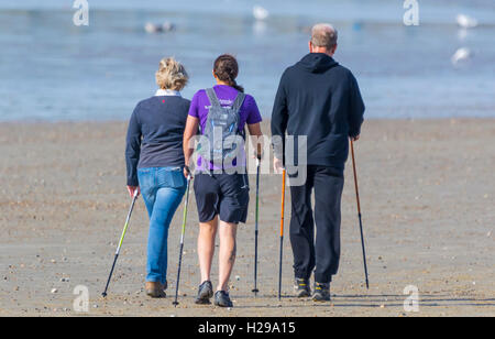 Group of people walking on the beach using sticks. Stock Photo
