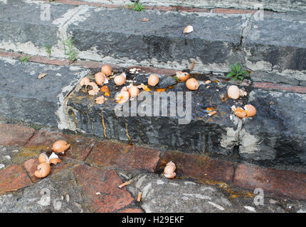 Broken eggs on steps Stock Photo