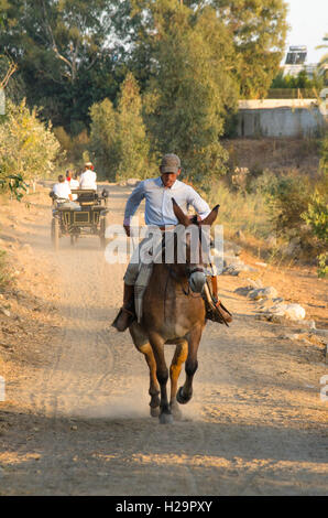 Man on mule,during Romeria of Fuengirola, religious pilgrimage one week before the annual fair, Feria,  Andalusia, Spain. 25 september, 2016.  Credit:  Perry van Munster/ Alamy Live News Stock Photo