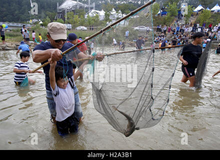 September 26, 2016 - Wanjugun, Jeollabuk-Do Province, South Korea - A farher and a son catch a fish wtht nets in Wanju Wild food festival. © Min Won-Ki/ZUMA Wire/Alamy Live News Stock Photo