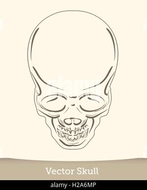 Conceptual human skull. Vector illustration Stock Vector Image & Art ...