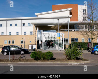 Queen Mary's Hospital, Roehampton, London, January 1918. Artist: H ...