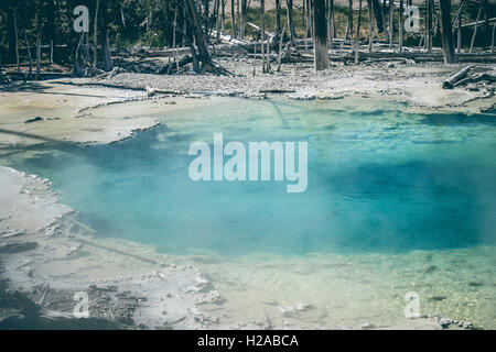 Turquoise water pond with hot steaming water Stock Photo