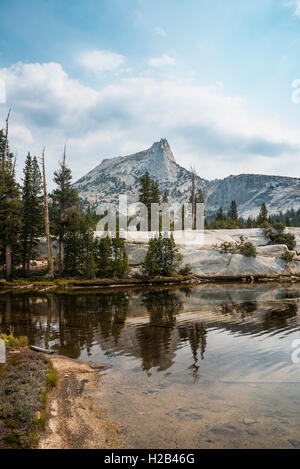 Mountain reflected in a lake, Cathedral Peak, Lower Cathedral Lake, Sierra Nevada, Yosemite National Park, Cathedral Range Stock Photo