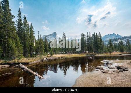 Mountain reflected in a lake, Cathedral Peak, Lower Cathedral Lake, Sierra Nevada, Yosemite National Park, Cathedral Range Stock Photo