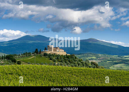 Typical Tuscany landscape in Val d’Orcia with wineyards, Castello di Velona on a hill, Castelnuovo dell'Abate, Tuscany, Italy Stock Photo