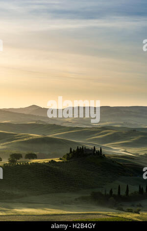 Typical green Tuscan landscape in Val d’Orcia, farm on hill, fields, cypress (Cupressus sp.) trees and morning fog at sunrise Stock Photo