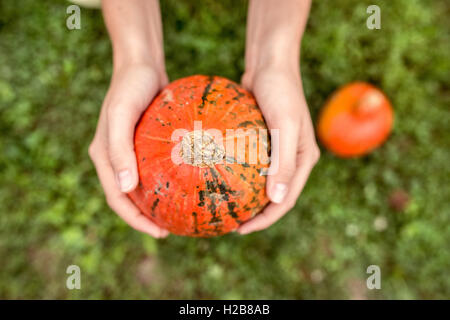 Hands of unrecognizable woman holding orange pumpkin Stock Photo