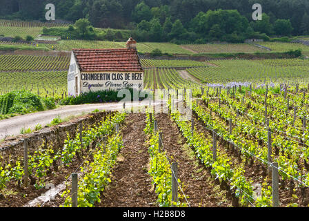 rustic-old-harvest-refuge-hut-