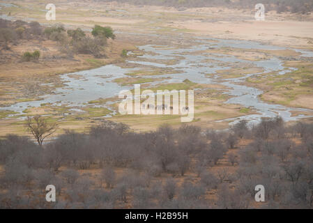 An elephant herd in the middle of the Olifants River Stock Photo