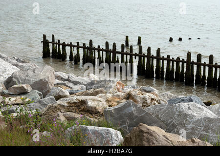 Rock armour and wooden groynes, East Lane, Bawdsey, Suffolk, UK. Stock Photo