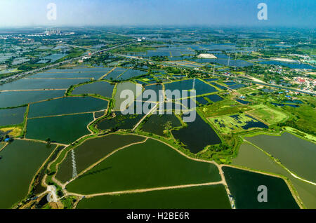 Aerial photo farmland rice fields under the water in Thailand Stock Photo