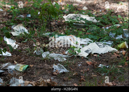 garbage dump in the woods problems of ecology