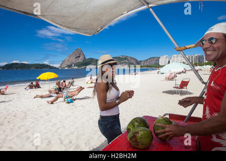 Pretty brunette Brazilian woman drinks coconut water at Flamengo beach, Sugarloaf mountain in background, Rio de Janeiro, Brazil. Stock Photo