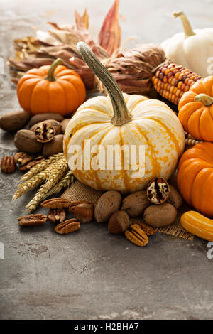 Fall copyspace with decorative pumpkins Stock Photo