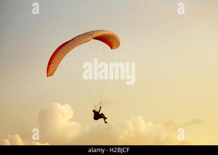 Skydiver flies on background of the cloudy sky Stock Photo