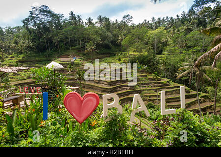 Indonesia, Bali, Tegallang, I love (heart) Bali sign in cafe garden opposite rice terraces Stock Photo