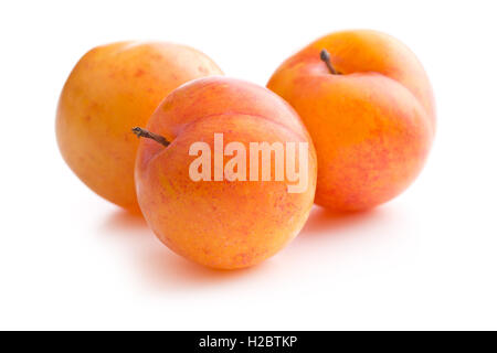 Ripe yellow plums isolated on white background. Stock Photo