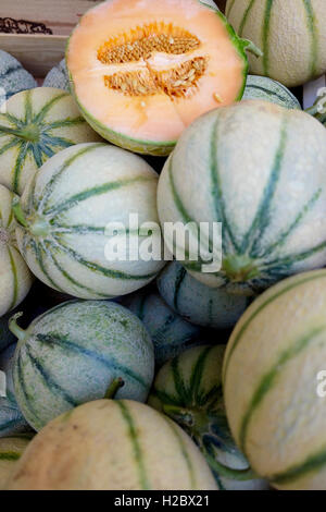 Muskmelons for sale at local market