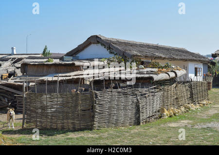 The roofs of reeds on the house and the garage. Wicker fence near ethnic Cossack home. Stock Photo