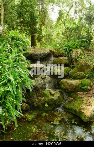 Small waterfall among trees and shrubs in the forest. Stock Photo