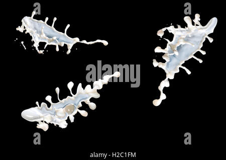 splashes of milk cows on a black background Stock Photo