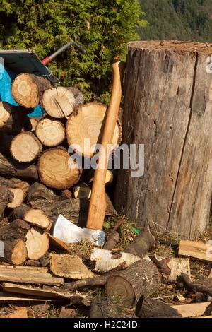 Old ax on log and firewood. Axe Cut into Wood after Chopping Firewood. Stock Photo
