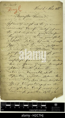 Correspondence - Fenzl (Eduard) and Engelmann (George) (Nov 01, 1866 (1)) Stock Photo
