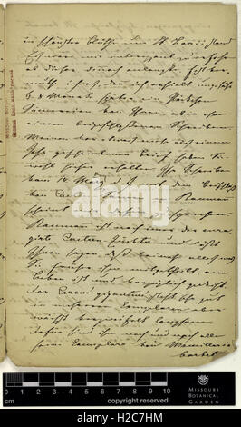 Correspondence - Fenzl (Eduard) and Engelmann (George) (Nov 01, 1866 (2)) Stock Photo