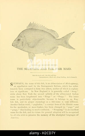 This work focuses on American fish species, specifically Salmo salar ...