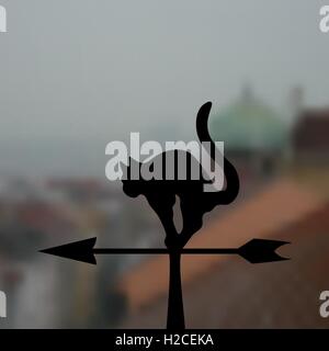 Weathervane - Black cat on a realistic background. illustration Stock Vector