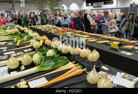 Visitors viewing winning exhibits at the Vegetable Competition, Harrogate Autumn Flower Show, North Yorkshire, UK Stock Photo