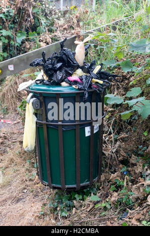 Overflowing dog waste bin Stock Photo