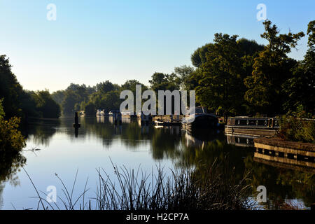 Early Morning on the River Thames at Abingdon Lock Stock Photo