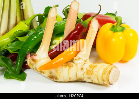 Group of herb ingredients for cooking thai food Stock Photo