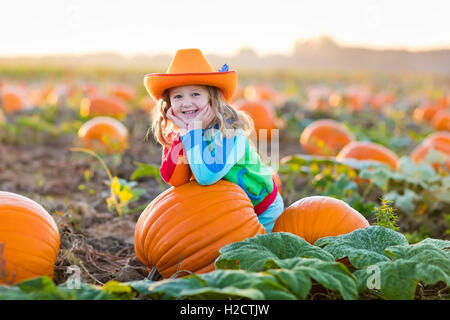 Little girl picking pumpkins on Halloween pumpkin patch. Child playing in field of squash. Kids pick ripe vegetables on a farm Stock Photo