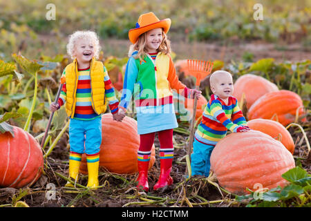 Little girl, boy and baby picking pumpkins on Halloween pumpkin patch. Children playing in field of squash. Kids pick vegetables Stock Photo