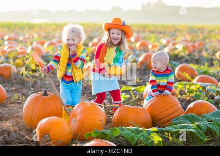 Little girl, boy and baby picking pumpkins on Halloween pumpkin patch. Children playing in field of squash. Kids pick vegetables Stock Photo