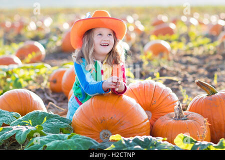 Little girl picking pumpkins on Halloween pumpkin patch. Child playing in field of squash. Kids pick ripe vegetables on a farm Stock Photo