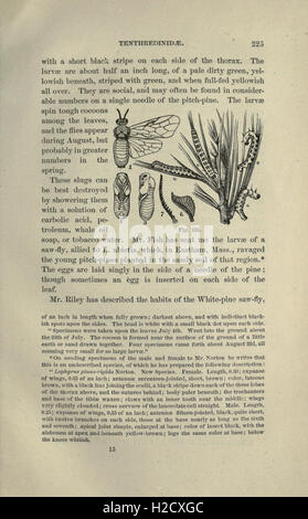 A comprehensive guide to the study of insects, covering their ...