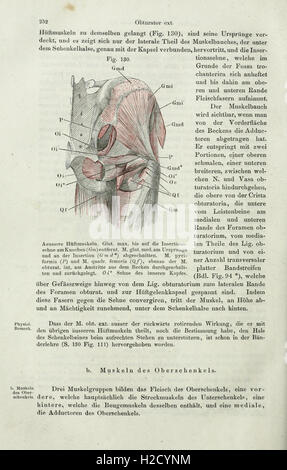 A comprehensive guide to the systematic anatomy of humans, covering ...