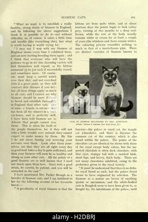 This guide provides a comprehensive classification of domestic cats ...