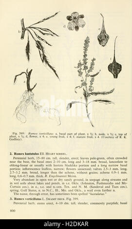 Aquatic and wetland plants of southwestern United States (Page 800) Stock Photo