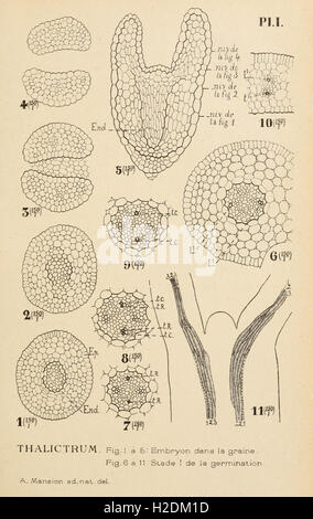Archives from the Botanical Institute of the University of Liège ...