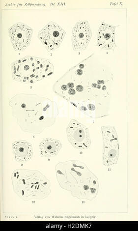 A journal dedicated to cell research, focusing on cellular biology ...