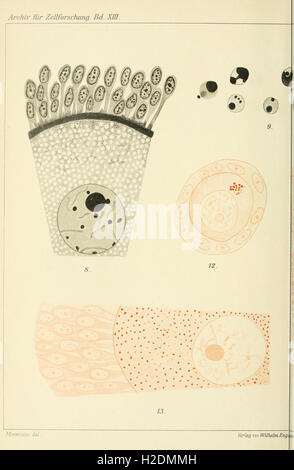 A scientific journal dedicated to cellular research, focusing on the ...