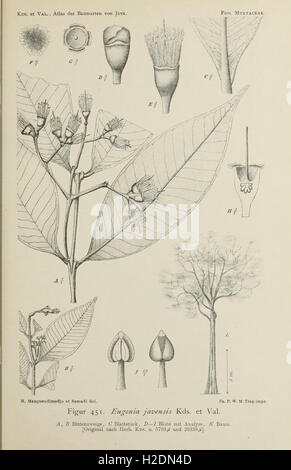 This atlas features illustrations and descriptions of tree species ...